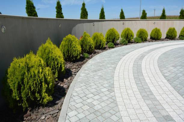 Best Residential Paver Driveway  in Adelphi, MD