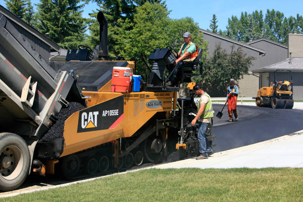 Best Driveway Pavers Near Me  in Adelphi, MD